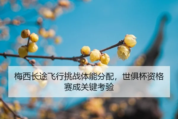 mei-xi-chang-tu-fei-xing-tiao-zhan-ti-neng-fen-pei-shi-ju-bei-zi-ge-sai-cheng-guan-jian-kao-yan-2-992.jpg