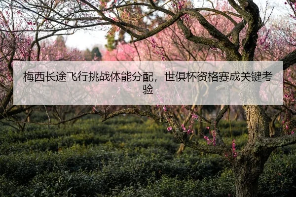 梅西长途飞行挑战体能分配，世俱杯资格赛成关键考验