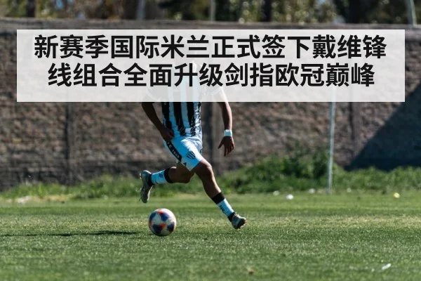 新赛季国际米兰正式签下戴维锋线组合全面升级剑指欧冠巅峰